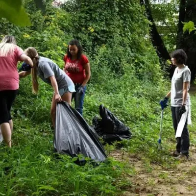 Kakamega Forest cleanup and tree planting day