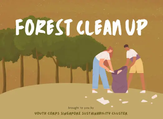 Kakamega Forest cleanup and tree planting day