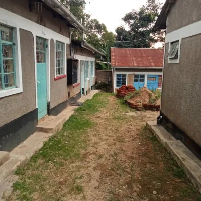 7 Units Vacant Bedsitters Lurambi No viewing fee very clost to mmust